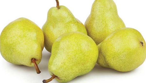 Bartlett Pears from 미국 supplied by Valicoff  Fruit Company, Inc - Carton Box (=Cardboard Box) 신선 배