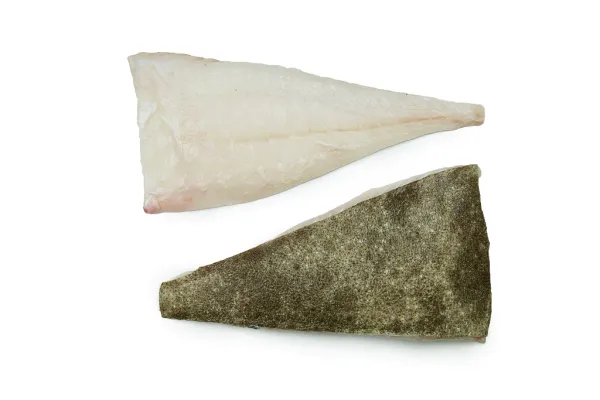 fresh turbot from Poland supplied by Baltimer Sp. z o.o. - HGT (=Headed, Gutted, and Tail-off) Frozen Turbot