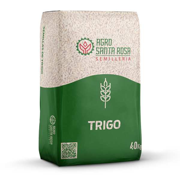 Wheat for Seed from 파라과이 supplied by AGRO SANTA ROSA S.A. - For Seed 소맥