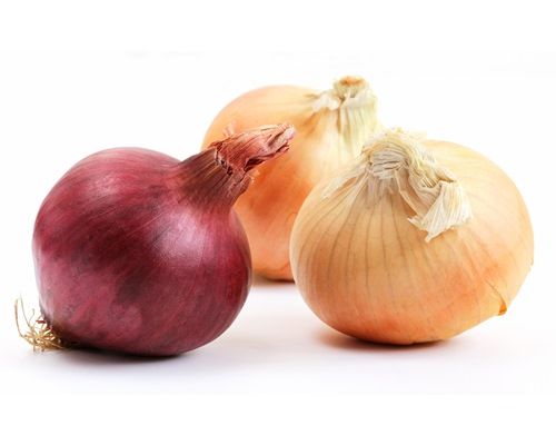 Onion from Finland supplied by Luonnosta Finland Oy - Yellow Fresh Onion