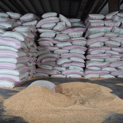 SOYBEAN from 탄자니아 supplied by OAKSTONE TRADING LIMITED - Small-Medium 대두