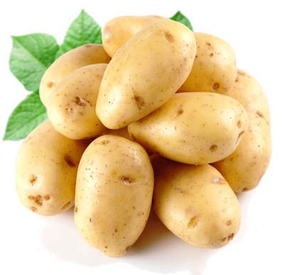 Fresh Potatoes from 중국 supplied by TOPPER - Mesh Bags (20kg) (=Net) 신선 일반 감자