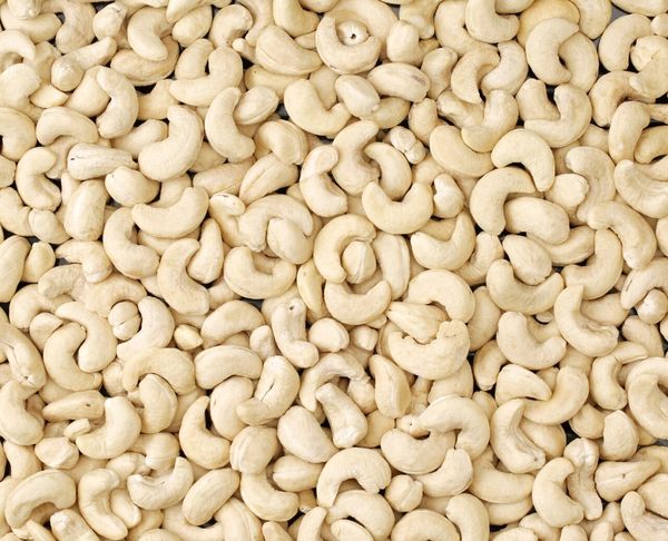 Cashew Kernels from 인도 supplied by VIJAYALAXMI CASHEW COMPANY - Kidney Shape 캐슈너트 알맹이