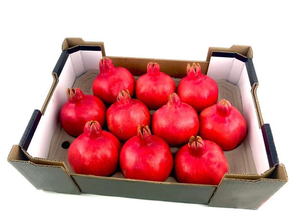 Pomegranate from 튀니지 supplied by ecualitta - 크기: 10-12 pz 신선 석류