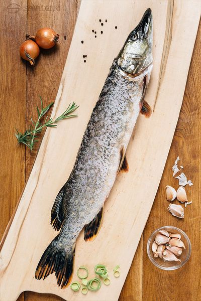 fresh pike from 폴란드 supplied by Szwaderki Sp. z o.o. Gospodarstwo Rybackie - Fillet 냉동 파이크