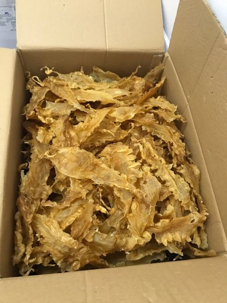 DRIED ALTANTIC COD'S BLADDER (fish maw) from 베트남 supplied by Baria Vungtau Seafood Processing And Import Export Joint Stock Company - FAQ (=Fair Average Quality) 주정박