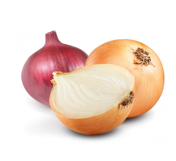 onions from Netherlands supplied by FlevoTrade Dronten B.V. - from 0.5 to 25 kilograms, big bags or loose products Fresh Onion