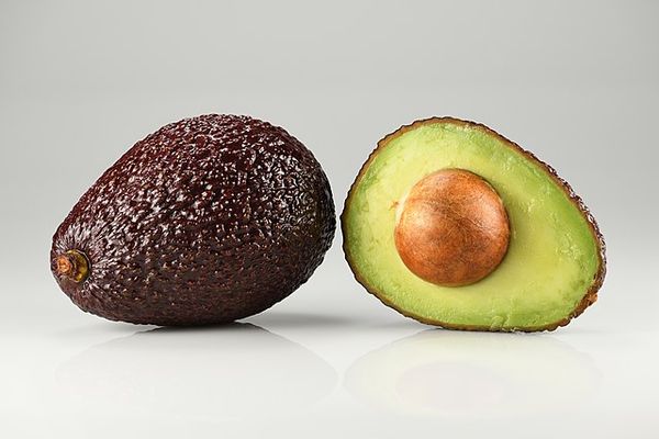 Avocado from 스페인 supplied by Fruilomar SL - Hybrid - Lamb Hass 신선 아보카도