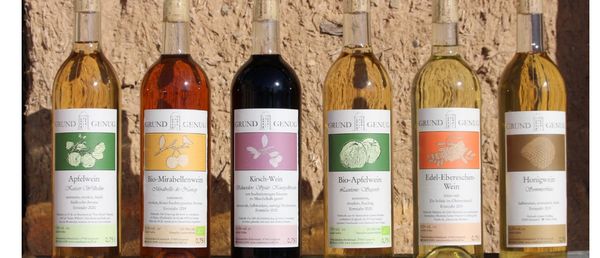 Fruit Wine from 독일 supplied by Fruit Winery Röttelmisch - Fruit Wine