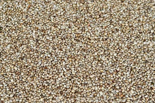 Hemp Seed from Germany supplied by Landerleben Zempow GmbH - Hulled Hemp Seed