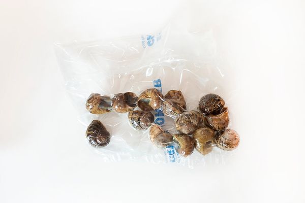 Escargot from 미국 supplied by Peconic Escargot, LLC - Burgundy Snail =Roman Snail=Escargot=Helix pomatia) 신선 달팽이