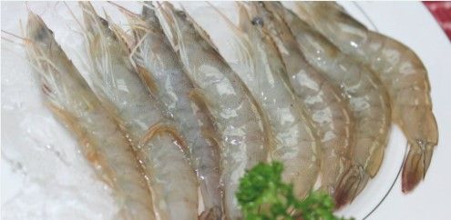 Frozen Shrimp from 온두라스 supplied by Grupo Granjas Marinas S.A (GGM) - Shell On (=Unpeeled) 신선 새우