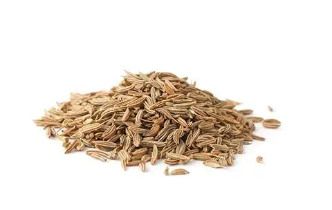 Cumin Seed from 체코 supplied by LUKA spol. s r.o. - As per customer's request 커민 씨