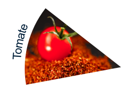 Dried Tomato from 프랑스 supplied by ALFALFA SAS - 건조 건조 토마토