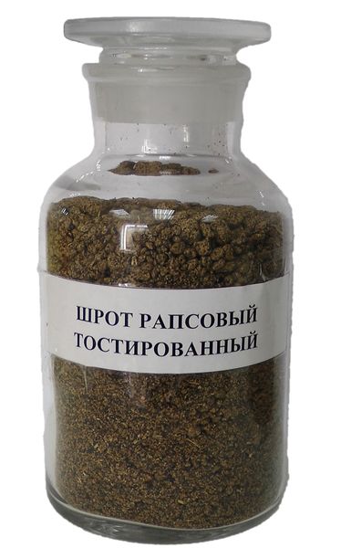 Toasted Rapeseed Meal from 벨라루스 supplied by AGROPRODUCT LLC - Meal 카놀라박 및 유채박