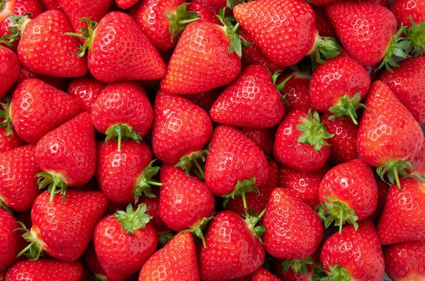 Fresh Strawberry from 영국 supplied by Berry Gardens - Whole 신선 딸기