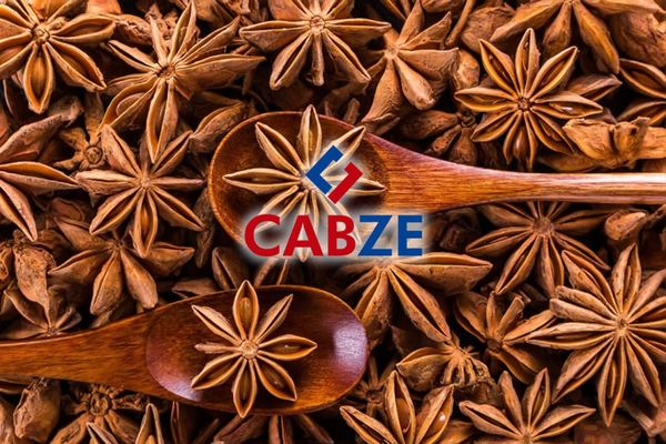 Star Anise from Peru supplied by CABZE - Whole Star Anise