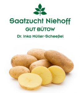 Fresh Seed Potato from 독일 supplied by Good Bütow Dr. K. – H. Niehoff - White 씨감자