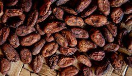 Cocoa Beans from Australia supplied by Cofi-com Trading Pty. Ltd. - Cocoa Bean