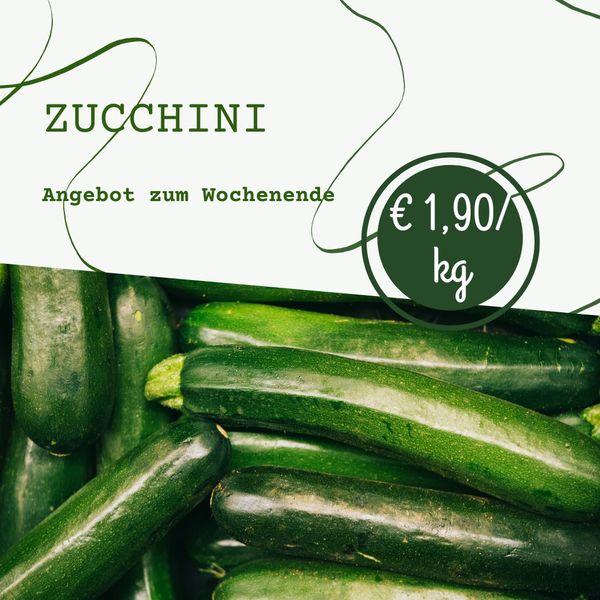 Fresh Cucumber from 독일 supplied by Gemüsehof Steiger - 생 신선 오이
