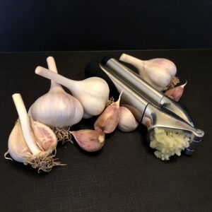 OG Hardneck Culinary Garlic from 미국 supplied by Fraser's Garlic Farm, LLC - Culinary 신선 마늘