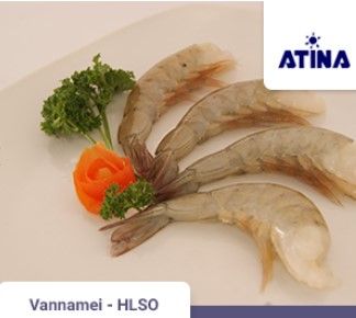 Vannamei Shrimp - HLSO from 인도네시아 supplied by PT. Alter Trade Indonesia - HLSO (Headless Shell On) 냉동 새우