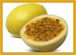 Fresh Passionfruit from 에콰도르 supplied by Ssmo Comx S.C.C. - Whole 신선 패션프루트