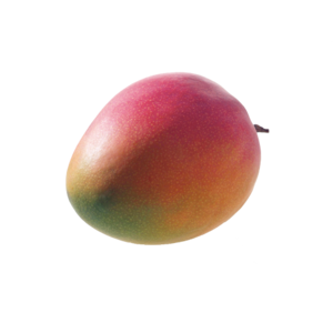 Mango from 브라질 supplied by AMS European - 붉은빛 신선 망고