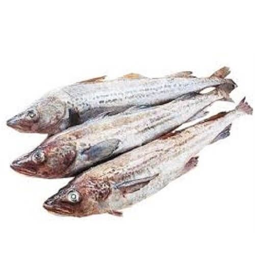Pollack from Brazil supplied by Leardini Pescados Ltda. - Frozen Frozen Pollack