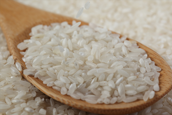 Rice from 페루 supplied by Agroselect S.A.C. - 쌀