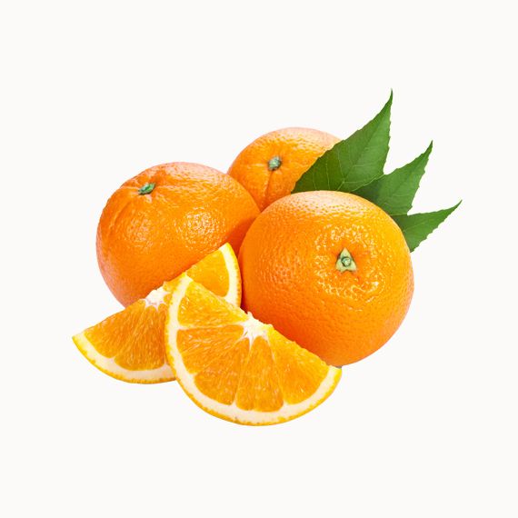 Seville Orange from 포르투갈 supplied by Cooperfrutas, CRL - Fresh (=Chilled) 신선 오렌지