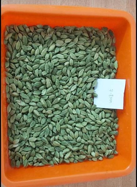 Cardamom from 인도 supplied by R S Enterprise - High Quality 허브 블렌드