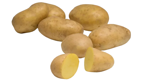 Potatoes from Netherlands supplied by Schaap Holland - Brown Fresh Common Potato