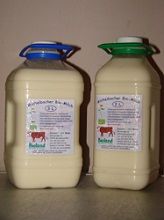 Cow Milk from 독일 supplied by Hof Maas - Raw 우유
