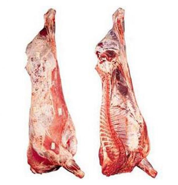 Cow Carcass from 몽골 supplied by Bulganmeat Market - 뼈 있음 신선 미절단 소고기