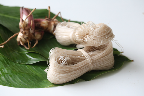 Rice Noodle from 베트남 supplied by Annie's Farm Company Limited - 쌀 가공품