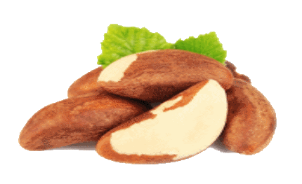 Big Whole Almonds from 볼리비아 supplied by Beneficiadora San Agustin - 신선 생아몬드