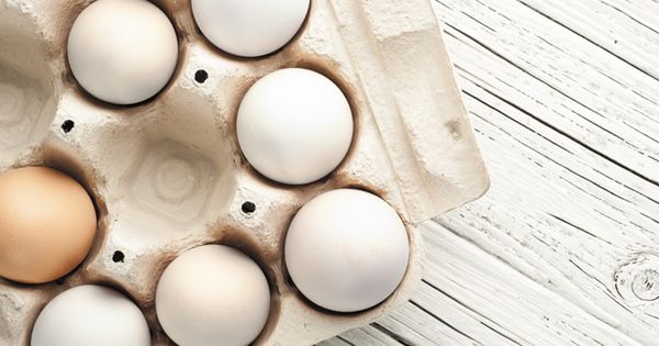 Egg from 핀란드 supplied by Ab Chipsters Food - Egg Yolk 달걀