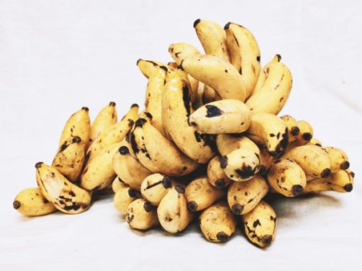 Banana from Cameroon supplied by Fruit passion - Yellow Fresh Banana