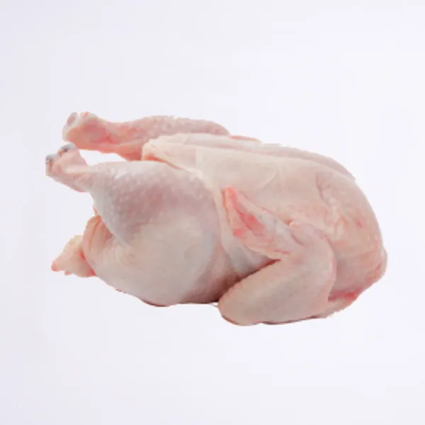 Frozen Whole Chicken from 그리스 supplied by Lamda Ltd - Whole 냉동 미절단 닭고기