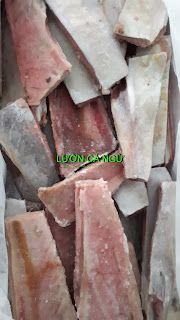 Ocean Tuna Eel (Wooden Eel) from 베트남 supplied by Danh Tuyen Company Limited - With Skin (=Skin On) 참치