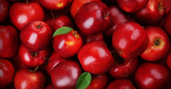 apple from Iran supplied by Eskard food - Other Fresh Fruits