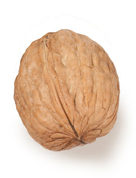 Walnut- In Shell from 미국 supplied by GoldRiver Orchards - California Walnut - Chandler 생호두