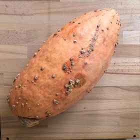 Pumpkin from Switzerland supplied by Bio Wäberhof - Muscade de Provence (=Musqee de Provence) Fresh Common Pumpkin