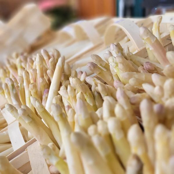 Asparagus from 독일 supplied by Gut Clarenhof GmbH & Co. - Whole 신선 아스파라거스
