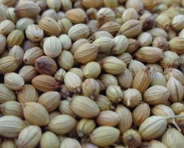 Coriander from India supplied by P.C.Kannan & Co. - Light Brown Coriander