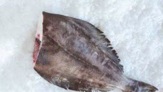 Tilapia from 벨기에 supplied by Borimex - Headed (=Head Off=Headless) 냉동 틸라피아
