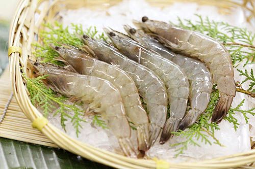 White Shrimps from 인도 supplied by ABM Marine Product - Shell On (=Unpeeled) 냉동 새우