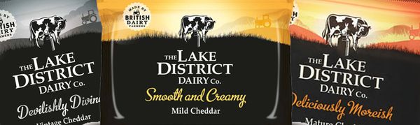 Cheddar cheese from United Kingdom supplied by First Milk Limited - Raw Milk Cheddar Cheese