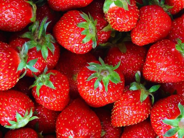 FRESH STRAWBERRY PUNNET from Australia supplied by Fresco Produce - Golden Pineapple (=Pina Dorada=MD2 Gold=Honey Golden=Golden Sweet) Fresh Strawberry